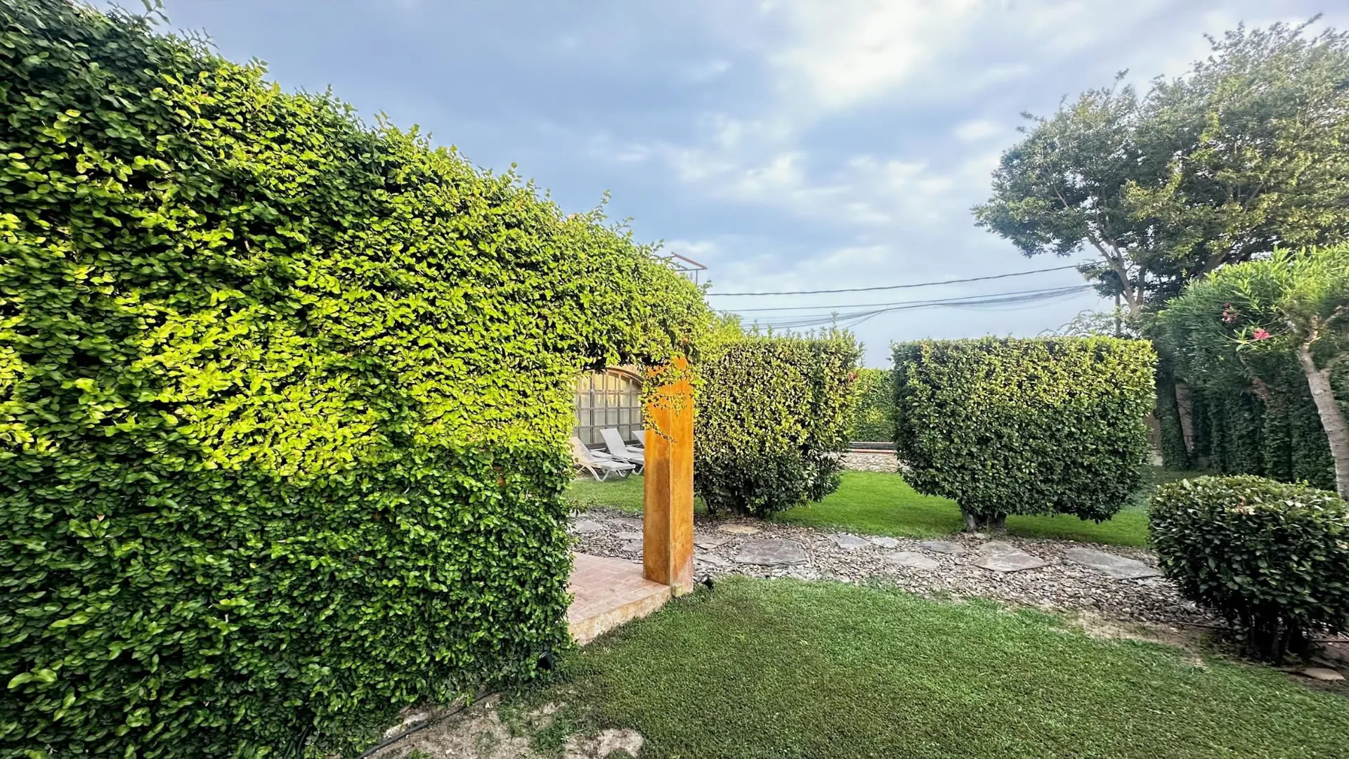 Landscaped garden with hedges
